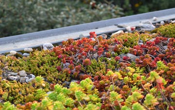 the cost of Coldbrook green roof installation