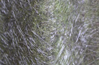 Coldbrook fibreglass roof work