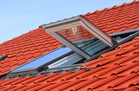 Coldbrook roof window